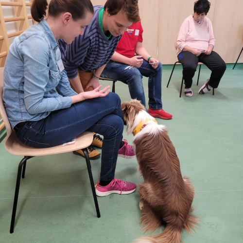 551880748_632492483128364_1362605140966228671_n