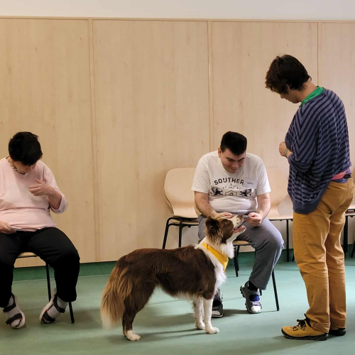 552808070_1348856780312812_7274068609822249364_n