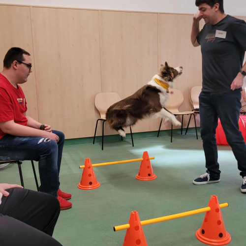 557527459_782421551334131_7888074521922927349_n