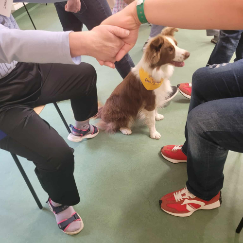 565074328_799120789498220_3943814487855014562_n