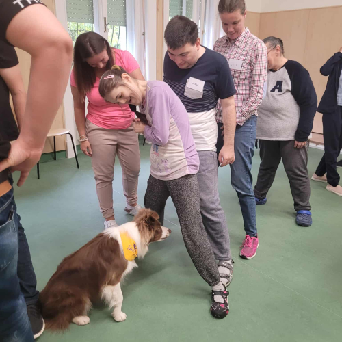 566496477_3161042674072219_3573012843844535413_n